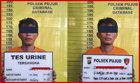 Gerak Cepat Polsek Pujud Tangkap Pelaku Diduga Pencuri Buah Kelapa Sawit
