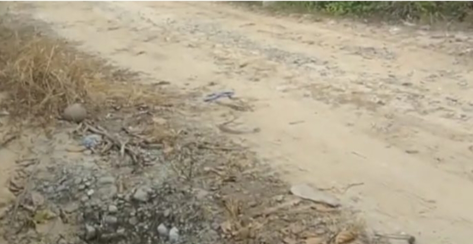 PT. AKM Diduga Menggunakan Material Tanah Dari Kawasan Hutan Produksi Konveksi